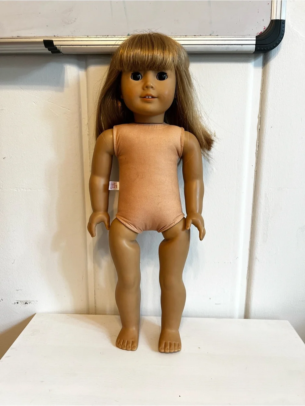 American Girl Doll (Custom Doll)